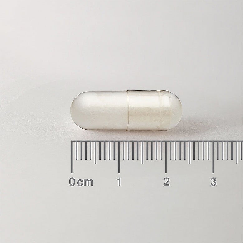 PREHRANSKO DOPOLNILO Acetil L-KARNITIN LAMBERTS®